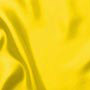 Lucy Kristal Taş Detaylı Sivri Burun Sarı Saten Kadın Topuklu